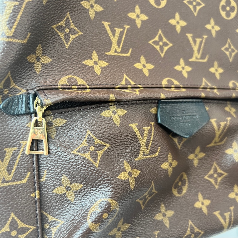 Louis Vuitton Palm Springs MM Monogram Backpack - Picture 6 of 16